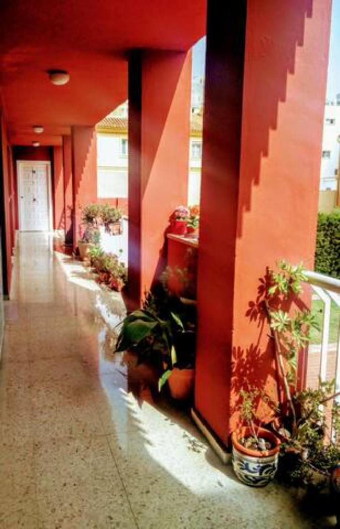 Bolivia Beach Apartments Málaga Esterno foto